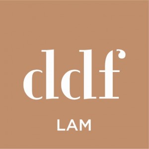 DDF logo_Lam